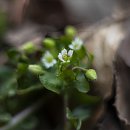 골프장둘레길 이미지