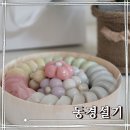퓨전떡 만들기 | 강동떡케이크맛집 동경설기, 명절 설 선물 추천 단아하고 예쁜 꽃송편세트 후기