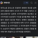 백골단(사복체포조) 부활!!! 이미지