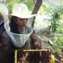 첨단한방병원 이미지