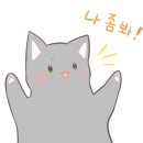 그레이스 고양이 병원 이미지