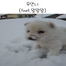 왈왈왈 이미지