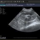 돌봄동물메디컬클리닉 이미지