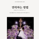 꽃섬투어 | 꽃섬스냅의 서울대 이라운지 본식스냅 촬영후기 :)