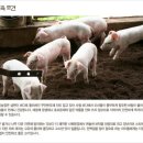 초은농장 이미지