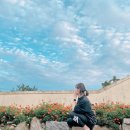 꽁지펜션 이미지