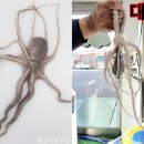 울대마을&황칠오리 네이버블로그