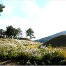 도봉서당