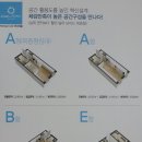 까사리움