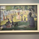 DC킹마트 | 미국 7주차+시카고 여행🌊🚢