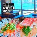 갈미1로 | 광안리 갈삼구이 부산 오션뷰 맛집 갈미조개 삼겹살 식당 내돈내산 점심 후기