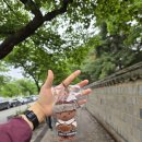 경주 여행 황리단길 얼굴빵 대릉원 포토존에서 사진 찍는 팁(웨이팅 후기)