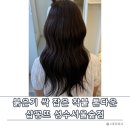 ㈜시도라인 | 샵꽁뜨 성수서울숲점 - 붉은기 없는 성수 염색 퍼스널 톤다운 염색 솔직 후기