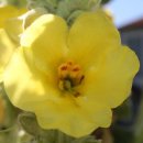 Soon's place 이미지