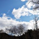 황순원문학관 Daum카페