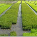 인제농장 이미지