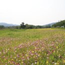 황룡친수공원 이미지