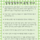 살랑살랑하개 이미지