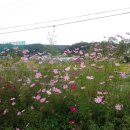 혜성 당구장 이미지