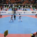 국가대표 경희대 빛 태권도 이미지