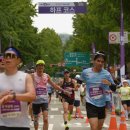 (주)더펫플레이스 | 2025 서울 레이스(SEOUL RACE) 참가 후기