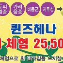 퀸즈헤나교실 네이버블로그