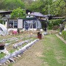 박곡농장 이미지