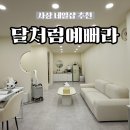 달처럼예뻐라