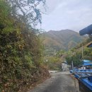 당골1길 이미지