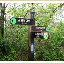 회령 옷 이미지