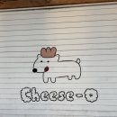 경주 귀여운 디저트가게 치즈오(cheese-o) 방문후기