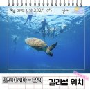 발리 길리섬 위치 거리 가는 방법 한 달 살기 후기