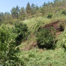 승재농장 이미지