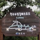 벗누림