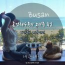 애견의 집 | [부산] 송정해수욕장 바로 앞 오션뷰 에어비앤비 애견동반 숙소 내돈내산 솔직후기