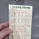 소싸움 | 청도 여행 필수 가볼만한곳 "청도소싸움경기장" 방문 후기