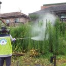 유성구보건소 이미지