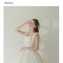 오퍼스씨