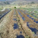 병수농장 이미지