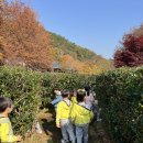 🍁함안 입곡군립공원🍂 이미지