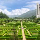 진고개가든 이미지