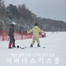 스키비 | 강원도 평창 스키장 알펜시아스키강습 비버네스키스쿨 보드강습 후기