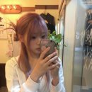 핑크미용실 - 예산군 고덕중앙로 67 | 핑크미용실
