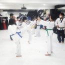 용인대 청목 mta 태권도 이미지