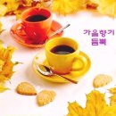 한국타이어강북점 이미지