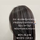 세느린 네이버블로그