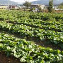 다정밥상 이미지