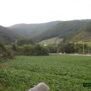 강원민박 이미지