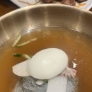 핑시화 이미지