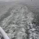 한려수도호 이미지